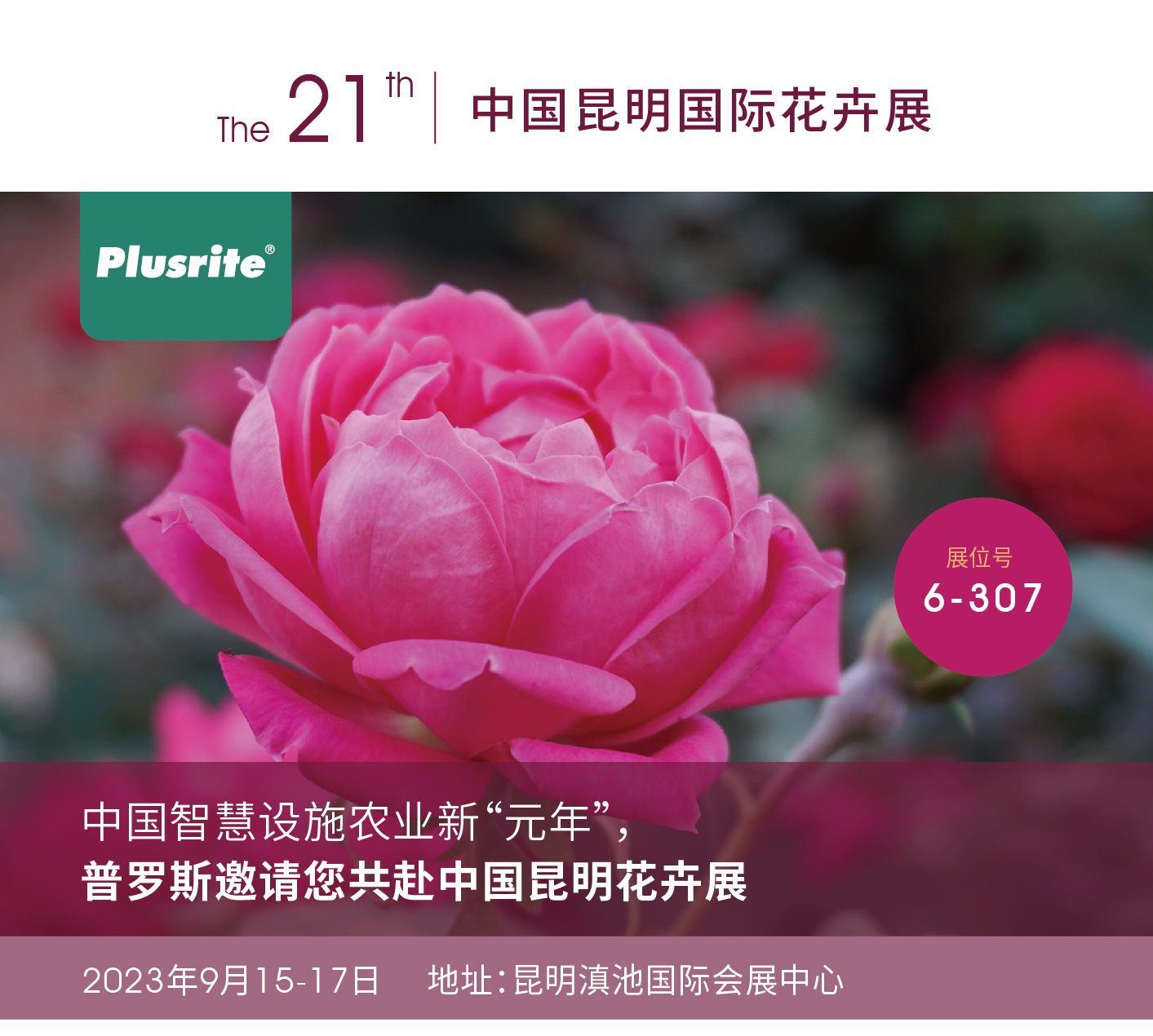 普罗斯邀您参加昆明国际花卉展01